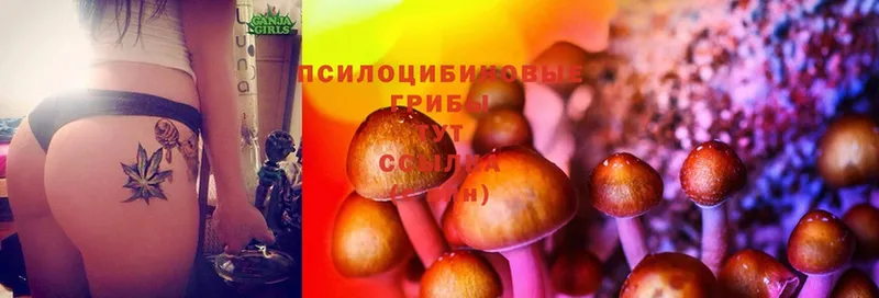 Галлюциногенные грибы MAGIC MUSHROOMS Ахтубинск